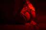 *      Imperium. ,  - 