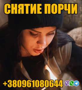    +380961080644 -  1