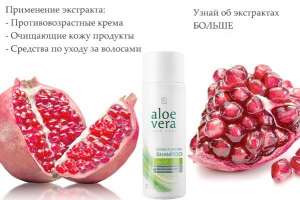 - Aloe Vera    !!! -  1