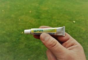 100% - ����������� ���� �� ����������� ��� - ����������� 1