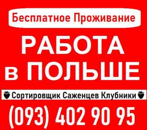 ⭕ ��������� ������������ �������� �������� ������ - ����������� 1