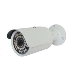 2    GreenVision GV-054-IP-G-COS20-30 -  1