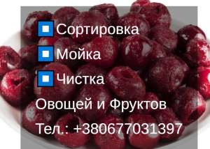 ⏹ ������: �����. ������. ���������� ������ � ������� ���� || ��������� - ����������� 1