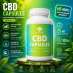 ������� � ����������: CBD ������� ������� 25 �� 60 ������ � ��������� �������������� �������, ��� � ������������