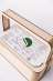 EcoBloom Smart Garden   .  - /