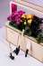 EcoBloom Smart Garden    -  3
