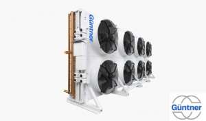 GUNTNER -������������ ����������� ������������ - ����������� 1