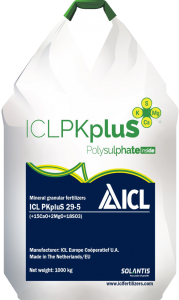 ICL PKpluS 29-5 (+2MgO+21CaO+18SO3) -  1
