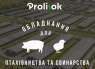 PROLISOK. ,  - /