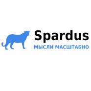 SEO-   - Spardus -  1