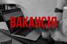 SMM- (Telegram, TikTok, Instagram)       . , PR, ,  - 