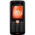   : Sony Ericsson W200