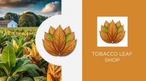 Tobacco Leaf Shop: ����������� �������� ����� ������� �����! - ����������� 1