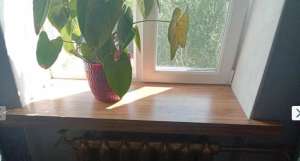 ³����� �� �������� ��������. - ����������� 1