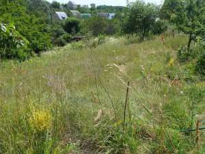 ĳ����� 12 ����� �� �������� � �������� �� �³������ (ϳ�����/������) - ����������� 1