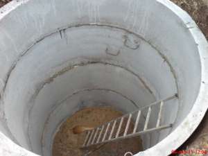 ʳ���� ������������. �����������. ������������. �������� �� ����. - ����������� 1