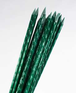 ʳ����� �� ����� ��� ������ � �������� ����������� ������� ���� �������� �� POLYARM - ����������� 1