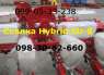 Альтернатива УПС-8 сеялка Hybrid SU-8(Seeder-8) Новинка !!! Seeder-8