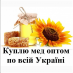 Куплю мед, закупка меду оптом, вся Україна!