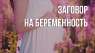 Обряд на беременность. Диагностика организма. Гадание.