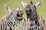 Реклама в Интернете Одесса. Разное - Покупка/Продажа