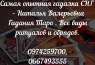 Финансовая магия. Привлечение успеха. Помощь опытного мага.