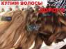 Купим волосы дорого в вашем городе. Красота и здоровье - Покупка/Продажа