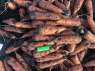 Перейти к объявлению: Морковь от производителя оптом в Луцке. Овощи продажа.