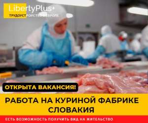 Словакия. Фабрика по переработке куриного мяса. ЗП 1200 евро чистыми - изображение 1