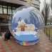 Перейти к объявлению: Шоу шар – огромный снежный шар фотозона
