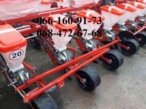 ѳ����� ��� 8 �����������, ������ ���� - ����������� 1