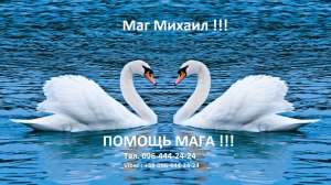 �e��� ��������, ��������. ������� �������� �o ����. - ����������� 1