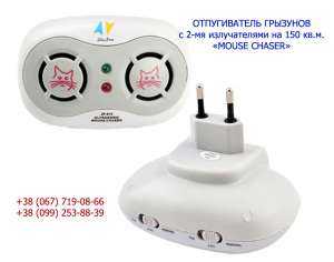 �� ����� ����� ������� ������������, �� ���� ��� ������� - ����������� 1