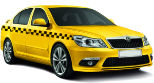 �/� ������ , ����� � ����� , ����� ��� , ������� , ����� , �������� , ������� - ����������� 1