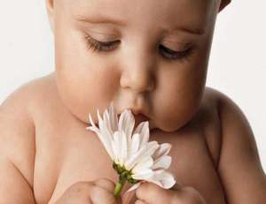 �� ������� ��������� ���� - ����������� 1