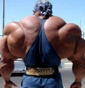 �� ����������� �������� - ����������� 1