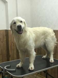 ��p���a ���o���x - ����������� 1