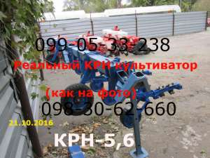 ��� 56(���-��������) ����������� ��� - ����������� 1