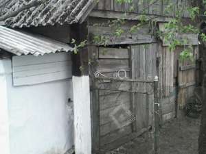 ��� � ������� ���������, �. ������� - ����������� 1