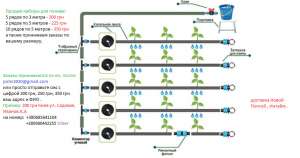 ��� ��� ������ - ����������� 1