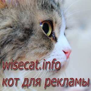 ��� ��� ������� - ����������� 1