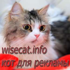 ��� ��� ������� - ����������� 1