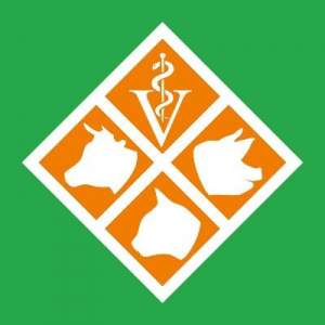 ��� ��� ����������� � �������������� - ����������� 1