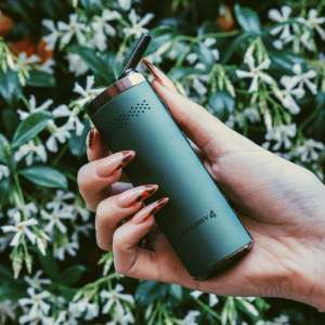 ��� ���� ���������� XMax Starry 4? - ����������� 1