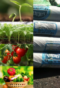 ��� ����� ��� ������� ����� ������/Vatan Plastik - ����������� 1