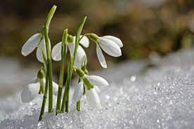 ��� ����� ������ - �������� ����� ���� - ����������� 1