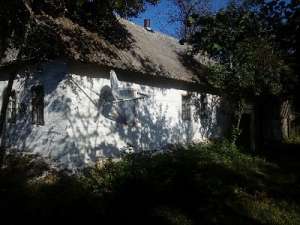 ��� �������. ������ ������ ���. ������ ���. ��� ��������, 60 ����� �����. - ����������� 1