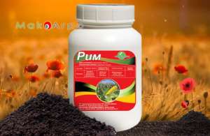 ��� ������� (������������, 250 �/��) - ����������� 1