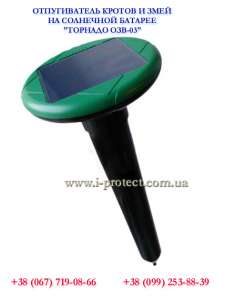 ��� �������� ������ �� �������, �������� �� �������� ���������� - ����������� 1