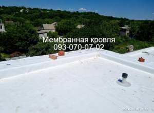 ��� �������� , ������� �������� - ����������� 1